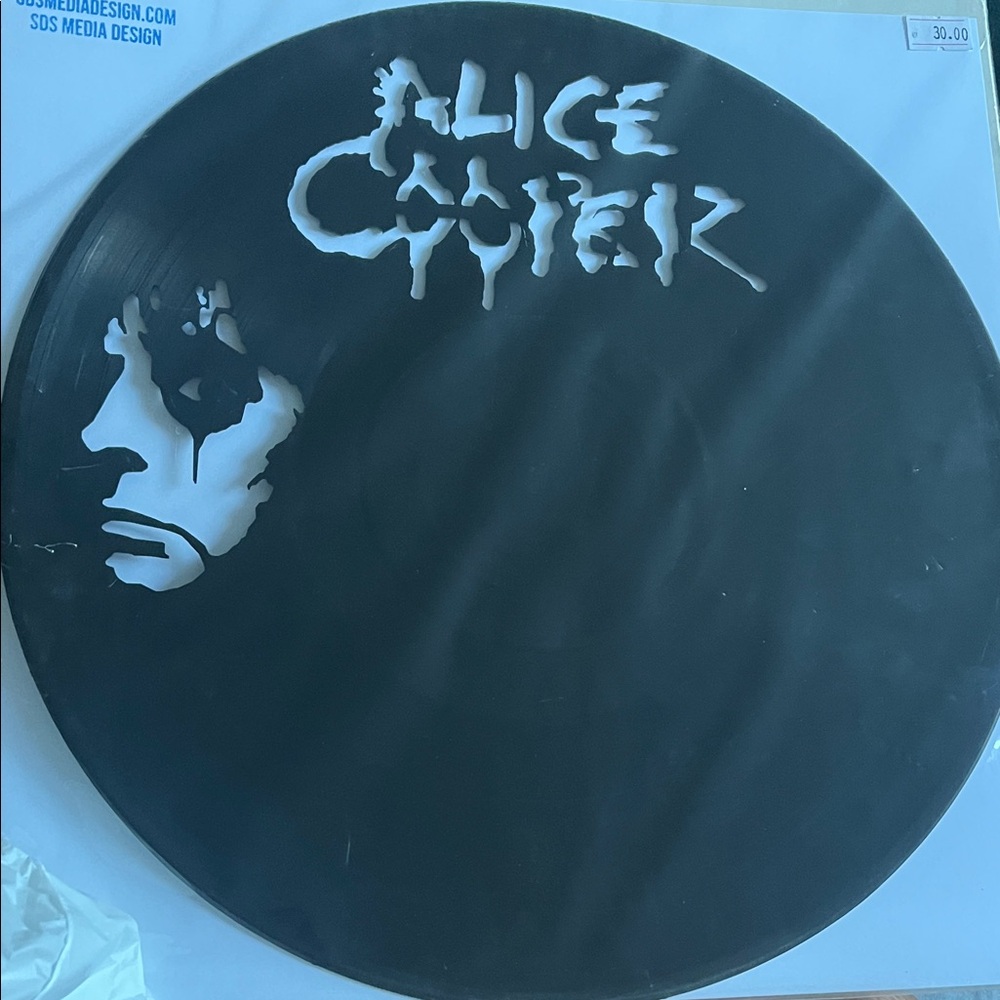 Alice Cooper Stencil Art Vinyl Wall Decor - Black & White brand new never opened